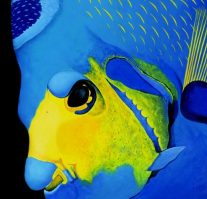 Patrick Chevailler, #501 Queen Angelfish Portrait, 2010-QNR-1030969