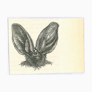 Paul Gervais, The Bat, Lithograph, 1854-ZCI-1758919