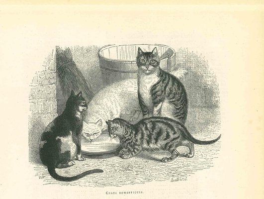 Paul Gervais, The Cats and Kitty, Lithograph, 1854-ZCI-1165560