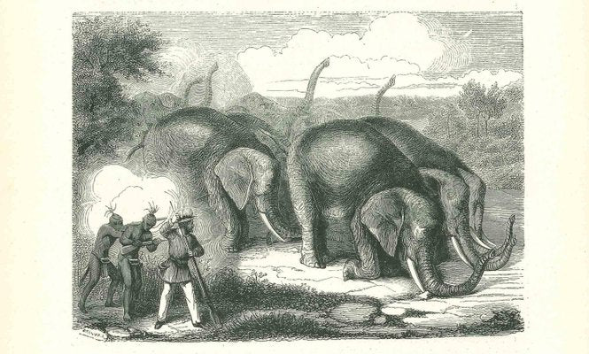 Paul Gervais, The Elephant Hunting, Original Lithograph, 1854-ZCI-2024884