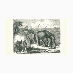 Paul Gervais, The Elephant Hunting, Original Lithograph, 1854-ZCI-2024884