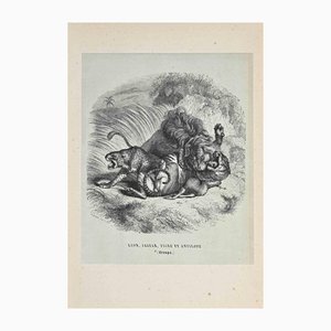 Paul Gervais, The Lion, Jaguar, Tiger, Lithograph, 1854-ZCI-1164662