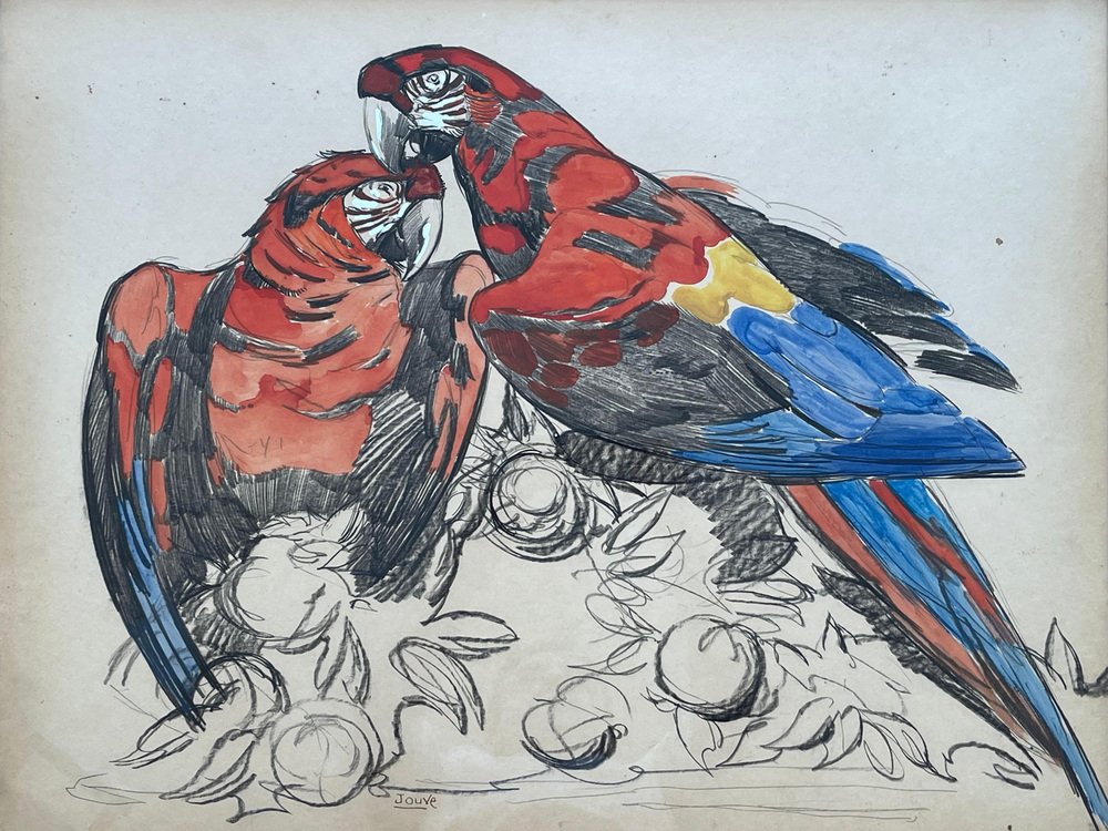 Paul Jouve, Two Parrots by Paul Jouve, France, 1930s, Paper