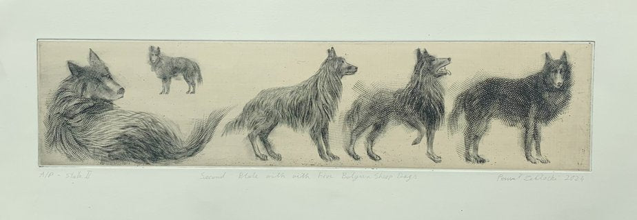 Pawel Zablocki, Second Plate with Five Belgian Sheep Dogs, 2009, Etching & Paper-XHG-2016549