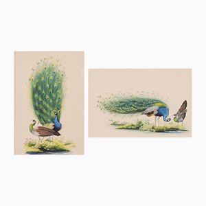 Peacock Goauches, Set of 2-AOI-1106713