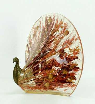 Peacock Table Lamp in Brass & Acrylic Resin with Real Leaves and Grasses, 1970s-FH-931111