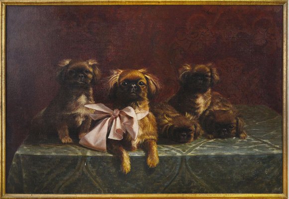 Pekingese Family of Dogs - Oil on Canvas by F.V. Rossi - 1939 1939-ZCI-756254