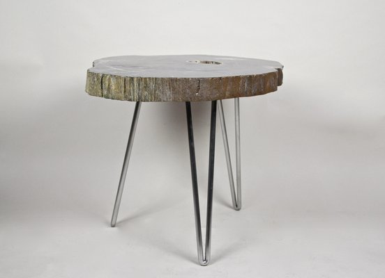 Petrified Wood Coffee Table on Stainless Steel Feet-TQA-1322060