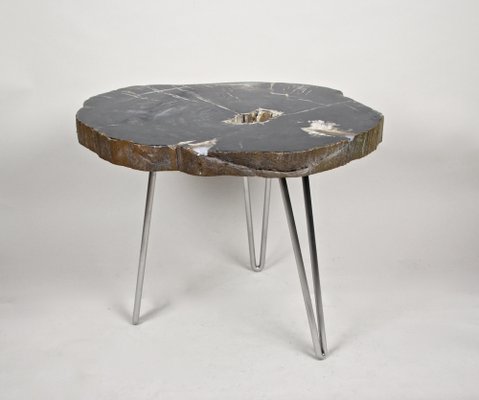 Petrified Wood Coffee Table on Stainless Steel Feet-TQA-1322060