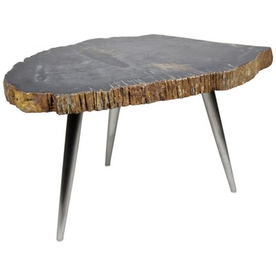 Petrified Wood Coffee Table with Stainless Steel Feet-TQA-1322056