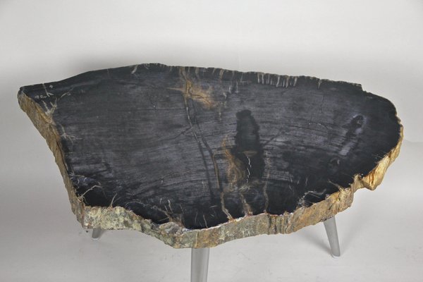 Petrified Wood Coffee Table with Stainless Steel Feet-TQA-1322056