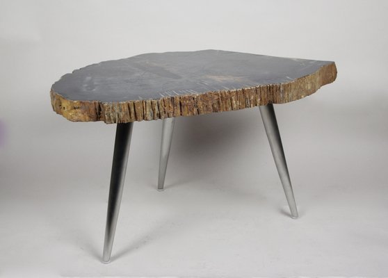 Petrified Wood Coffee Table with Stainless Steel Feet-TQA-1322056