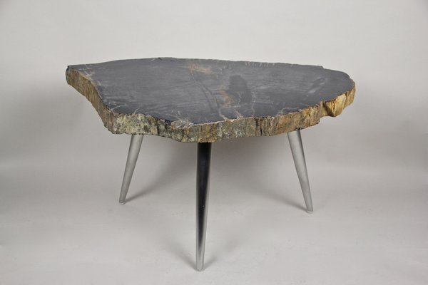 Petrified Wood Coffee Table with Stainless Steel Feet-TQA-1322056