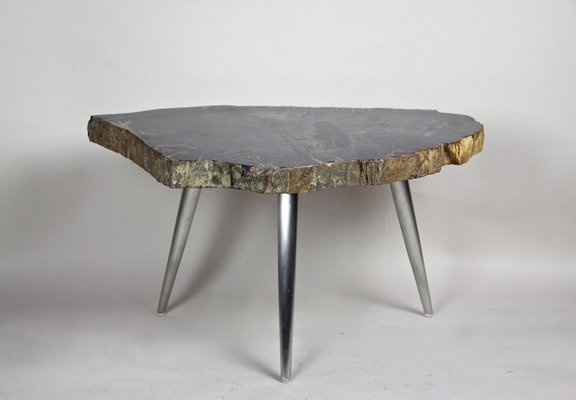 Petrified Wood Coffee Table with Stainless Steel Feet-TQA-1322056