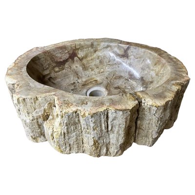 Petrified Wood Sink-TQA-1352597