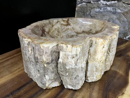 Petrified Wood Sink-TQA-1352597