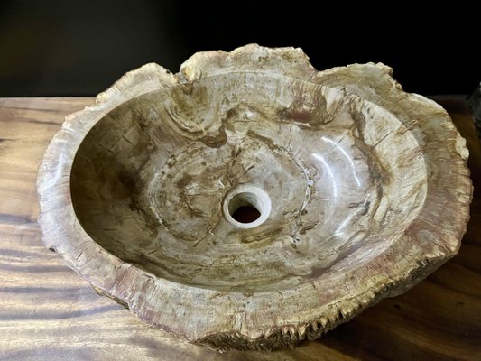 Petrified Wood Sink-TQA-1352597