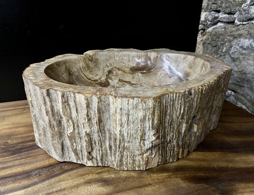 Petrified Wood Sink-TQA-1352597