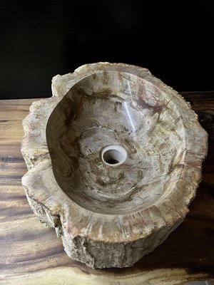 Petrified Wood Sink-TQA-1352597