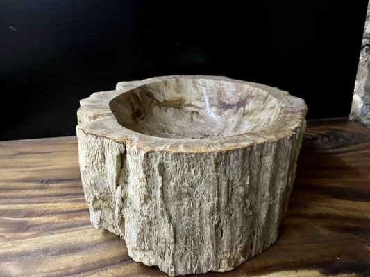 Petrified Wood Sink-TQA-1352597