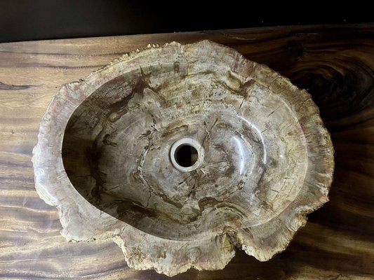 Petrified Wood Sink-TQA-1352597