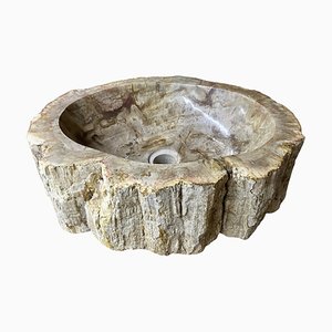 Petrified Wood Sink-TQA-1352597