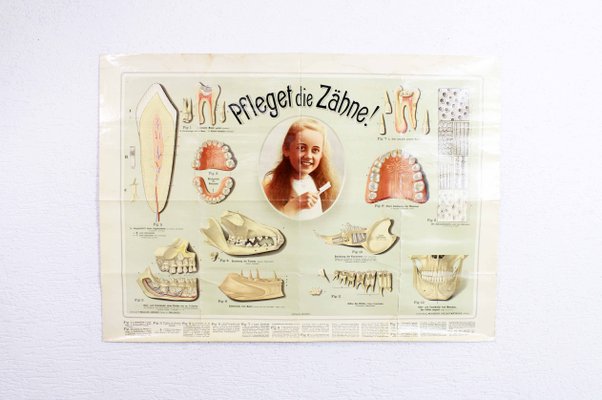 Pfleget die Zähne Vintage Print-BQF-928884