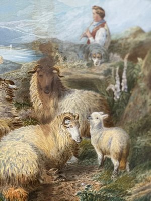 PH Staines, Sheep, Gouache on Paper, 1860-BFK-2032277