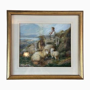 PH Staines, Sheep, Gouache on Paper, 1860-BFK-2032277