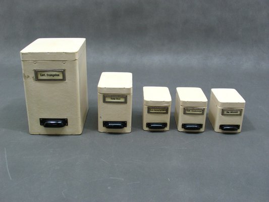 Pharmacy Containers, 1970s, Set of 5-WVA-1780777