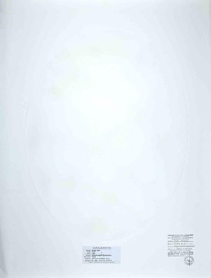 Piero Dorazio, Oval, Etching, 1987-ZCI-1762256