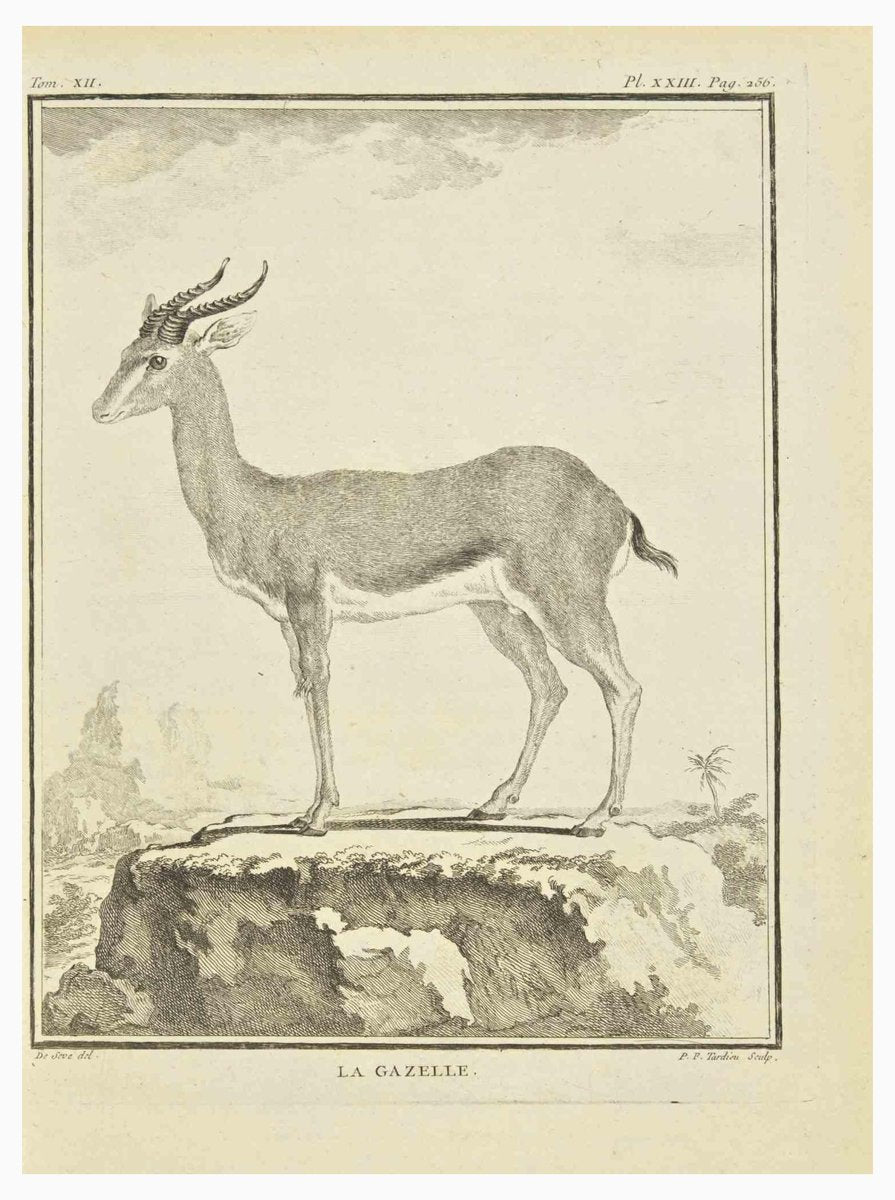 Pierre Francois Tardieu, Le Gazelle, Etching, 1771