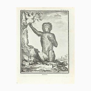 Pierre Francois Tardieu, Magot, Etching, 1771-ZCI-2029919