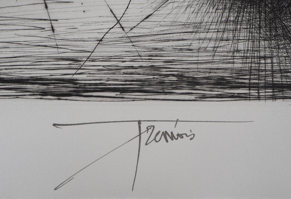 Pierre-Yves Trémois, The Solar Explosion, Original Etching-KHH-1200723