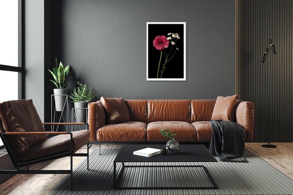 Pink and White Delicate Flowers on Black Background, Giclée Print, 2021-RWC-1451973