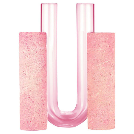 Pink-Pink Cochlea dello Sviluppo Soils Edition Vase by Coki Barbieri