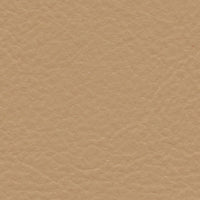 Pintail Duck (FE4027)