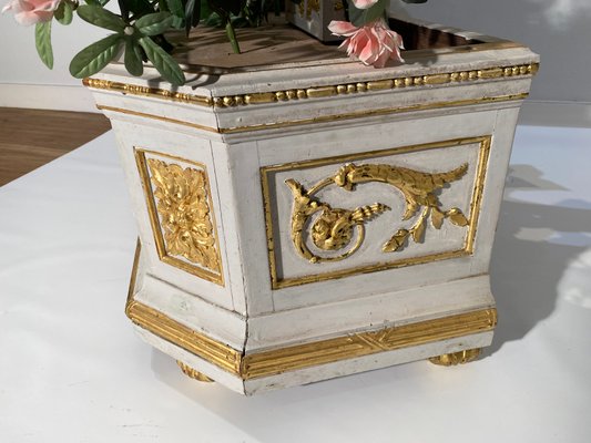 Planter in Gilt and Carved Wood-TYI-1746852