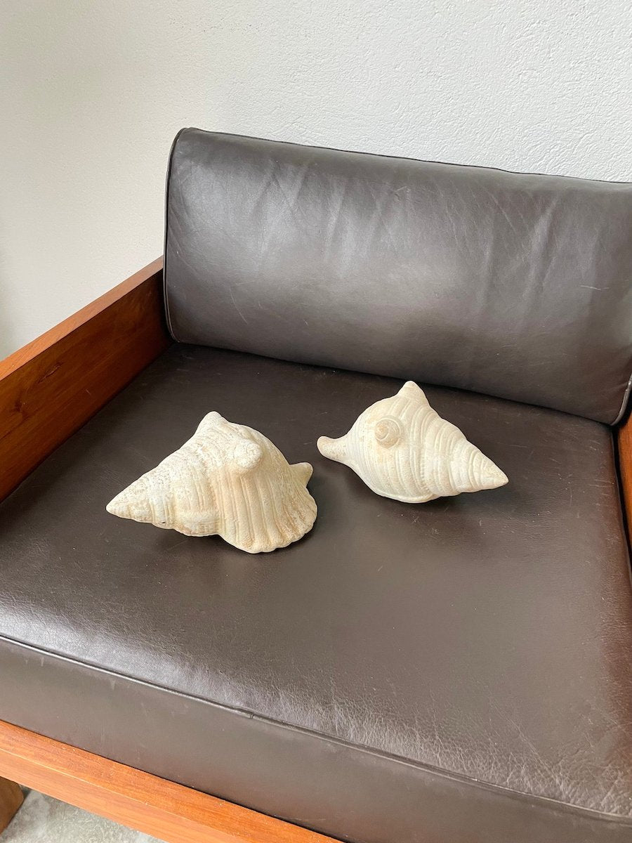 Plaster Shells, 1970s, Set of 2