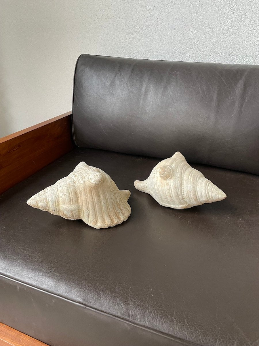 Plaster Shells, 1970s, Set of 2