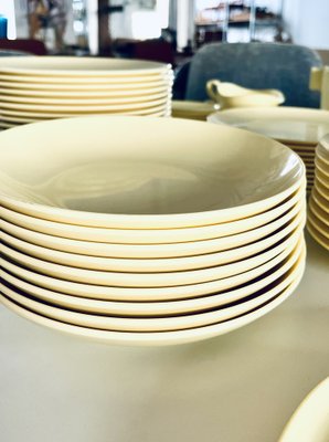 Plastic Dinner Service for 9, France, 1960s, Set of 72-HDF-1716240