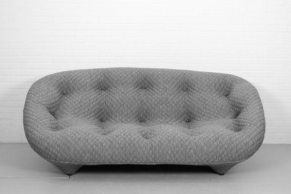 Ploum 3-Seat Sofa and Ottoman by E. & R. Bouroullec for Ligne Roset, 2000s, Set of 2-ZA-1543006