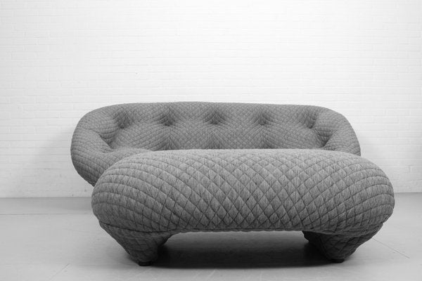 Ploum 3-Seat Sofa and Ottoman by E. & R. Bouroullec for Ligne Roset, 2000s, Set of 2-ZA-1543006