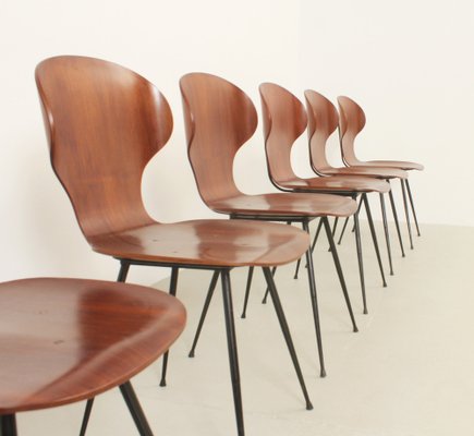 Plywood Side Chairs by Carlo Ratti, Italy, 1950s, Set of 6-UB-1822169