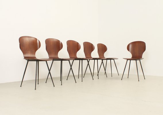 Plywood Side Chairs by Carlo Ratti, Italy, 1950s, Set of 6-UB-1822169