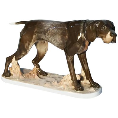 Pointer Dog Figurine by F. Diller for Rosenthal Porcelain-UCH-1224774