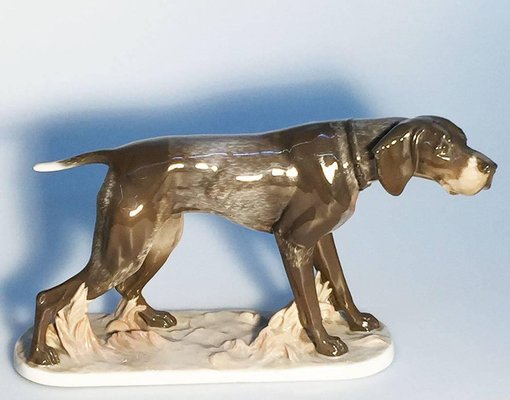 Pointer Dog Figurine by F. Diller for Rosenthal Porcelain-UCH-1224774