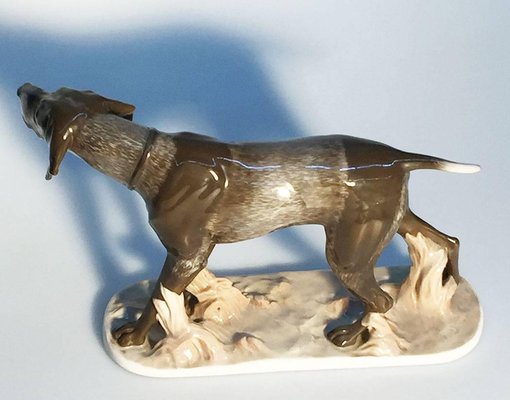 Pointer Dog Figurine by F. Diller for Rosenthal Porcelain-UCH-1224774