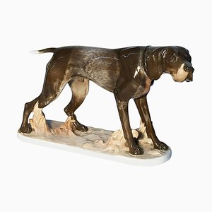 Pointer Dog Figurine by F. Diller for Rosenthal Porcelain-UCH-1224774