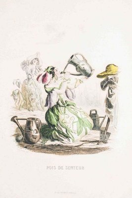 Pois de Senteur - Les Fleurs Animées Vol. - Lithograph by J.J. Grandville - 1847 1847-ZCI-757155